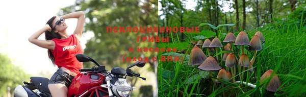 синтетический гашиш Алексин